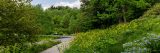 Photo of the Native Plant Garden in spring