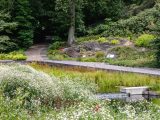 Photo of the Native Plant Garden