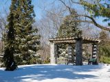 Ornamental Conifers - Winter