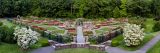 Rose Garden in full bloom with various colored roses