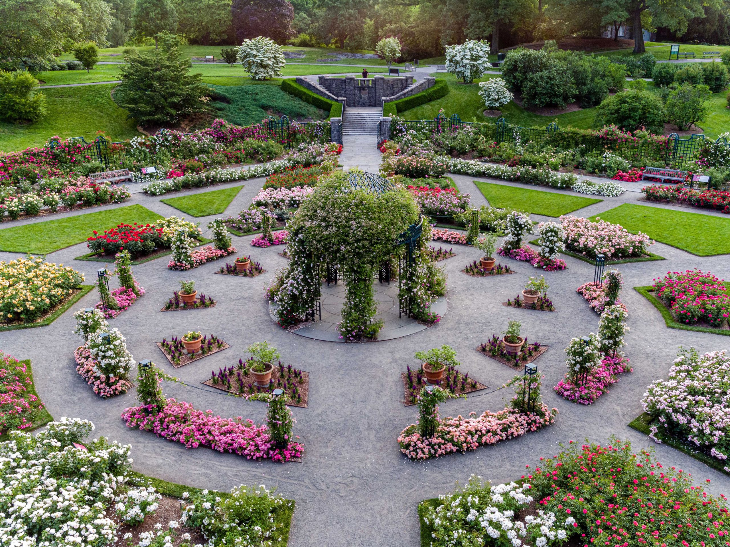 Rose Garden New York Botanical Garden