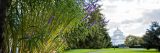 Conservatory view from afar with grass in the front