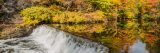 A waterfall in the Bronx river surrounded by colorful trees in the fall