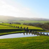 A grassy landscape near a pool of water.