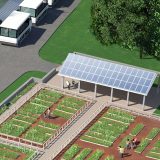 Solar panel for the Edible Academy