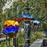 Photo of Chihuly works