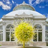 Photo of Chihuly