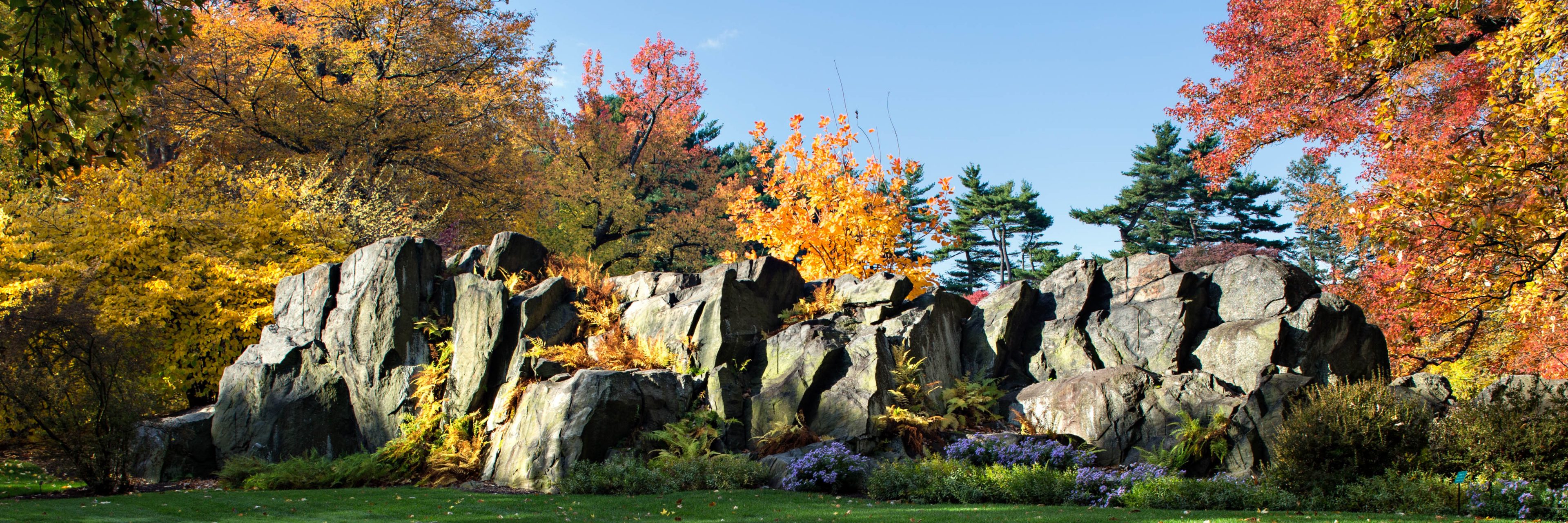 Discover Seasonal Wonders » New York Botanical Garden