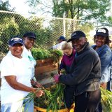 Local residents working in community garden pulling leaves.