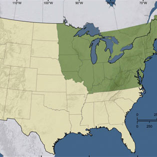 Highlighted map of the United States