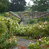 Rose Garden stairs in summer