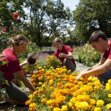 Photo of School of Professional Horticulture students in the garden, SOPH