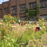 Local residents working on community garden in the spring.