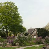 Stone Cottage