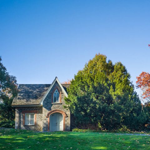 Commercial Film and Photography » New York Botanical Garden