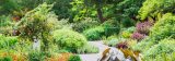 Perennial Garden