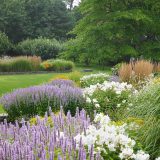 Photo of a garden designed by Hollander Design