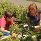 A mother and son enjoy the beauty of the Rose Garden.