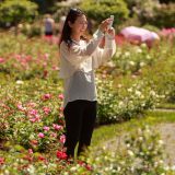 Women talking a photo of the Rose Garden