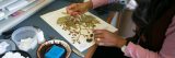 A scientist mounting a herbarium specimen.