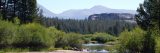 Image of trees, hills in Yosemite.