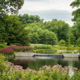 The Native Plant Garden in summer.