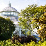 Conservatory Dome behind green fall trees