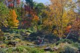 Rock Garden - Fall