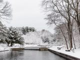 The water in the Native Plant Garden surrounded by snow covered trees