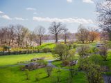 Lilac collection in fall with leafless trees