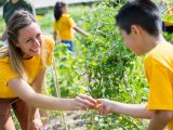 Family Garden - Summer