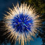 Dale Chihuly's Sapphire Star at night.
