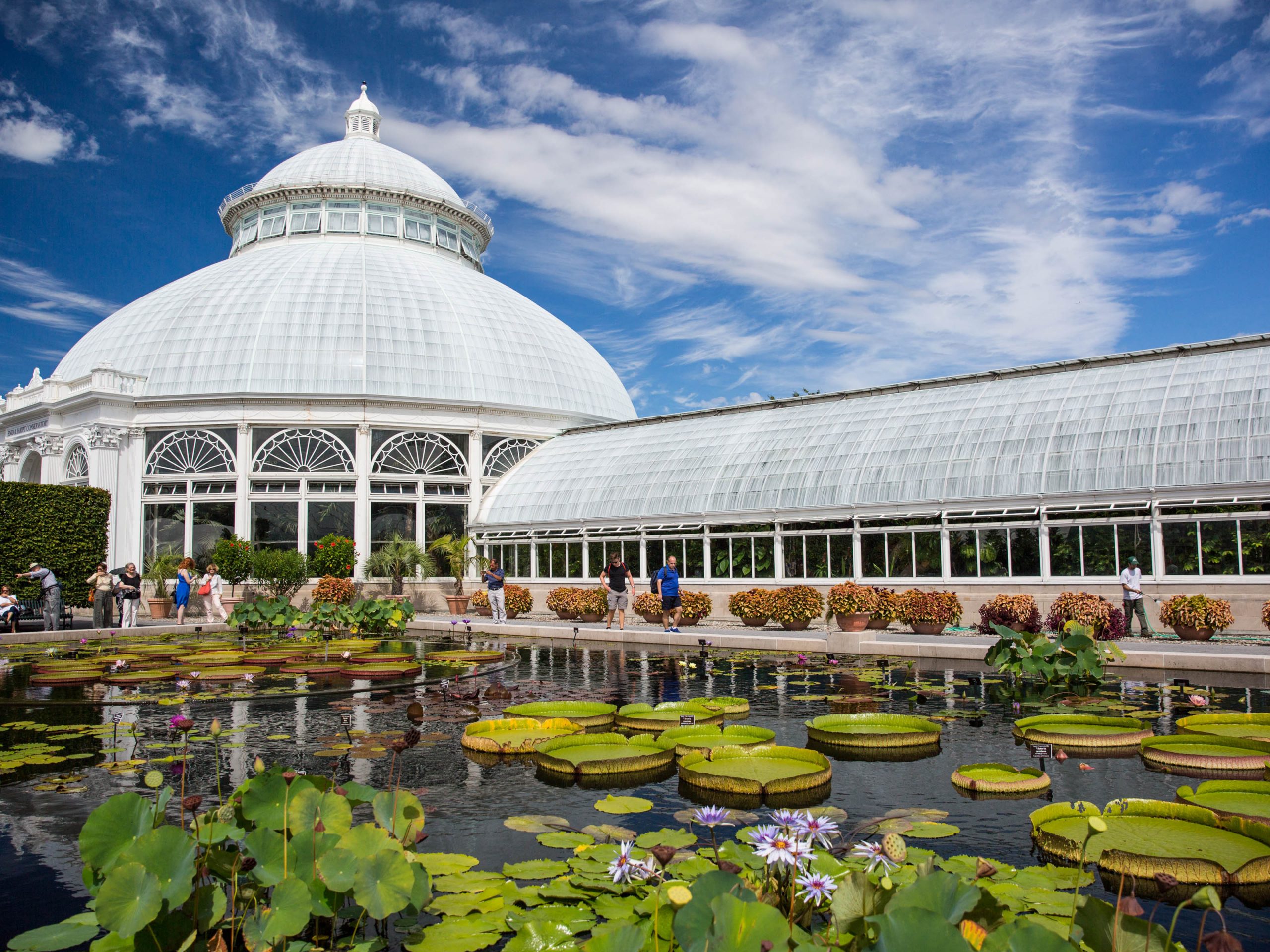 new york botanical garden research