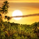 Photo of tropical sunset