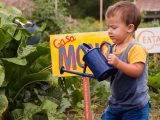 Family Garden - Summer