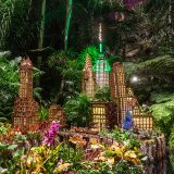 Holiday Train Show