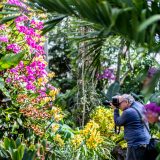 Photo of a photographer with orchids