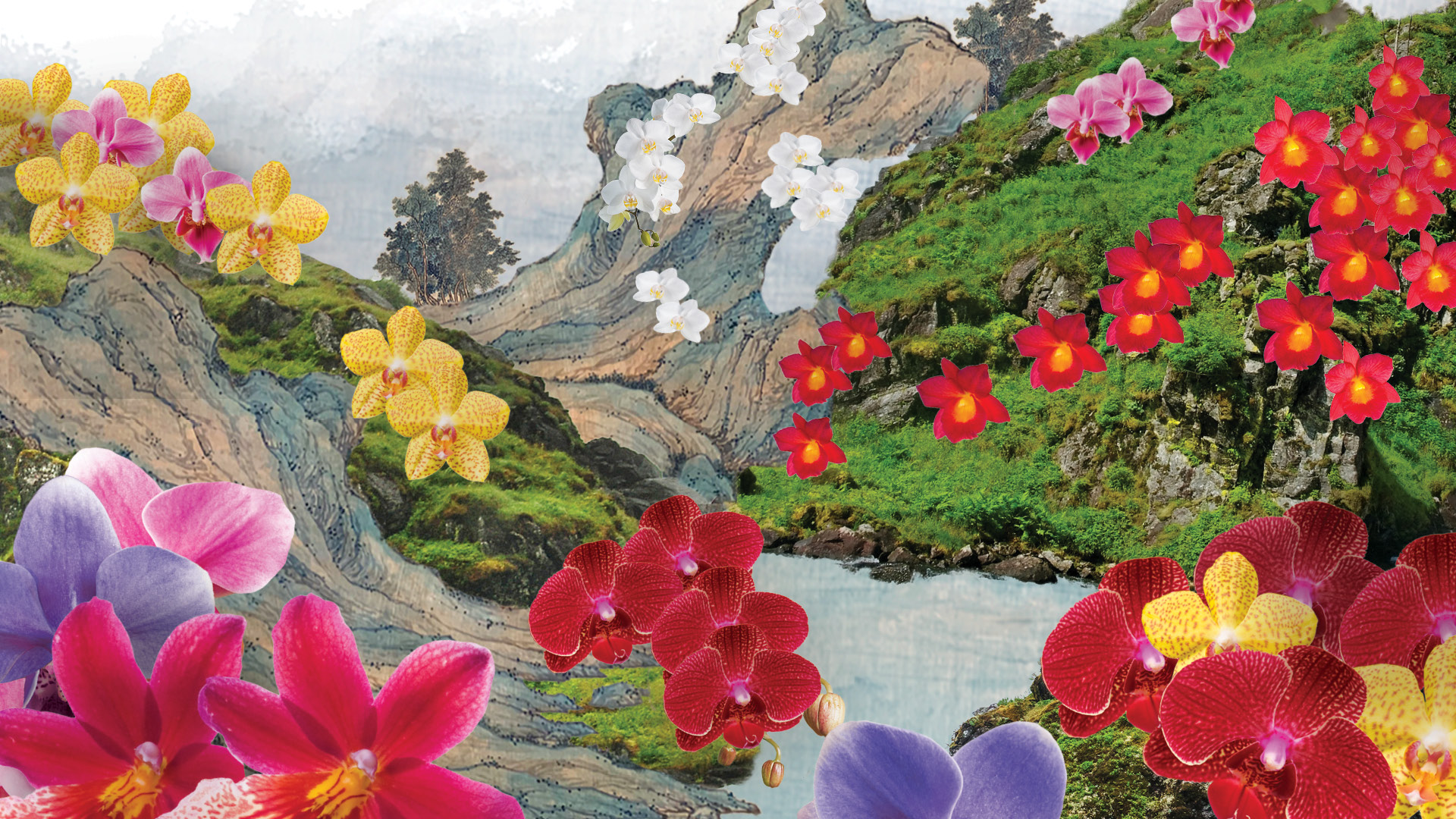 Illustration of real orchids set among rolling hills with green moss and painted landscape over them. Bright pink, red, yellow, and white orchids are placed on top of the rolling mountains in small clumps throughout the landscape to look like they are growing on the various forms. A curving illustrated blue water river cuts through the rolling hills.