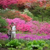 A couple in the Azalea Garden.