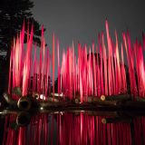 Dale Chihuly's Red Reeds on Logs illuminated during the evening.