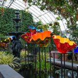 Dale Chihuly's Macchia Forest in the Aquatic Plants Gallery.