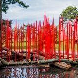 Dale Chihuly's Red Reeds on Logs in the Reflecting Pool.