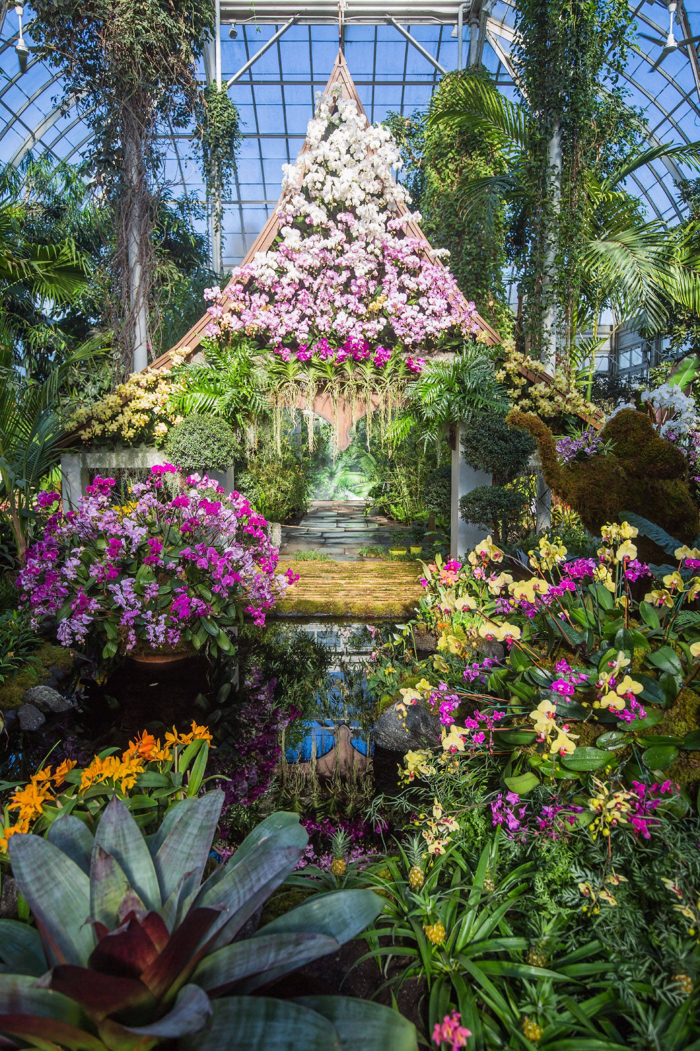 The Orchid Show Thailand Press Room New York Botanical Garden