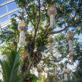 Traditional Thai lanterns hang from the ceiling of the Conservatory.