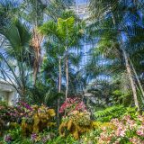 Two elephant topiaries adorned with orchids.