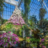 A front view of the orchid-covered sala pavilion.