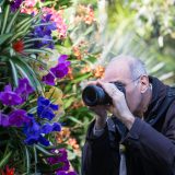 A man photographing orchids.