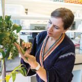 Woman Studying Plant