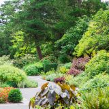 The Perennial Garden in summer.