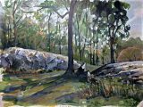A Plein-Air Acrylic and graphite painting of a scene with trees and rocks by Jason Das